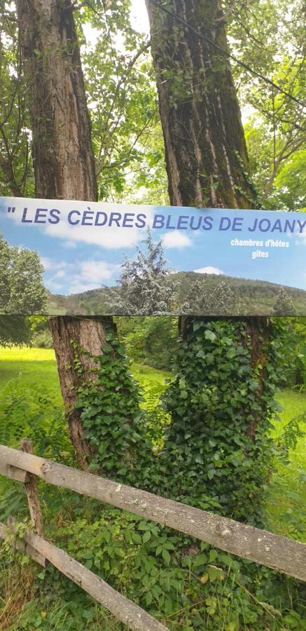 Cedres Bleus De Joany Chez Nathalie Viviez エクステリア 写真