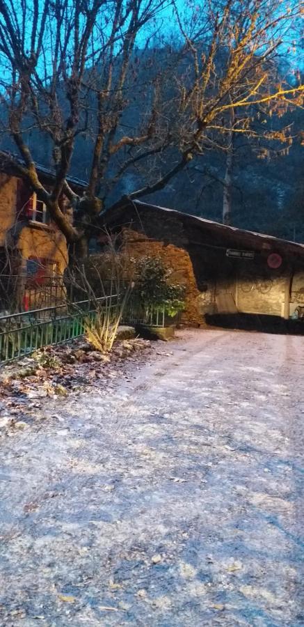 Cedres Bleus De Joany Chez Nathalie Viviez エクステリア 写真