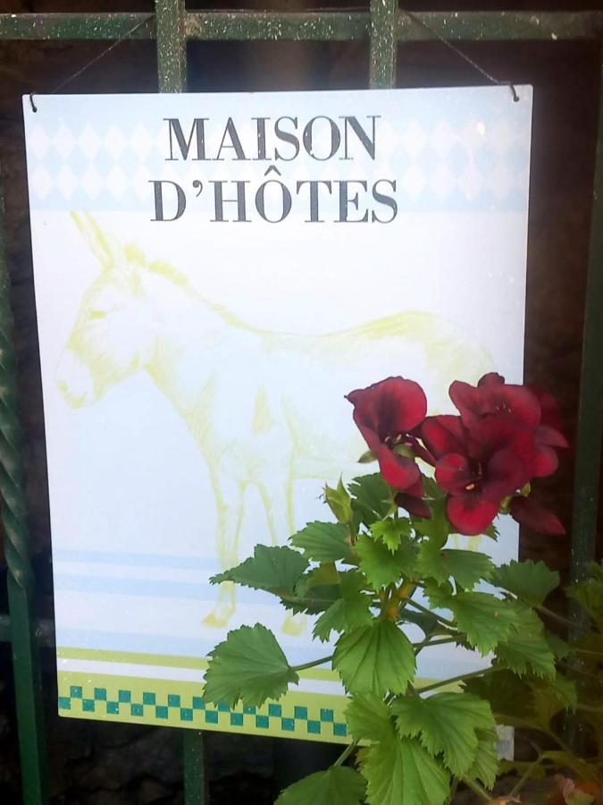 Cedres Bleus De Joany Chez Nathalie Viviez エクステリア 写真