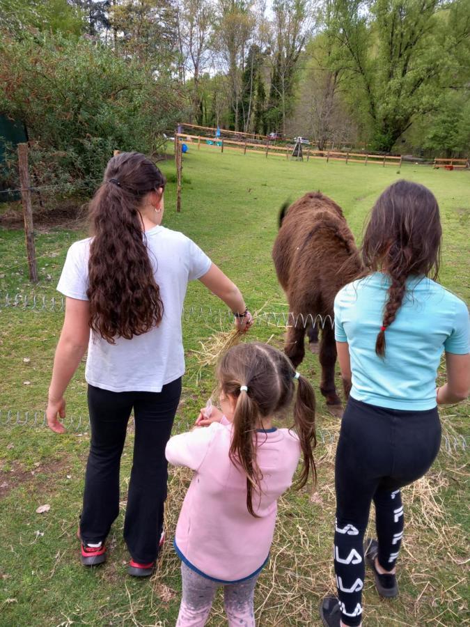 Cedres Bleus De Joany Chez Nathalie Viviez エクステリア 写真